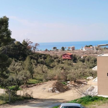 Vila Theasis1 Neos Marmaras Exteriér fotografie